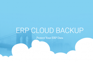 erp cloud backup